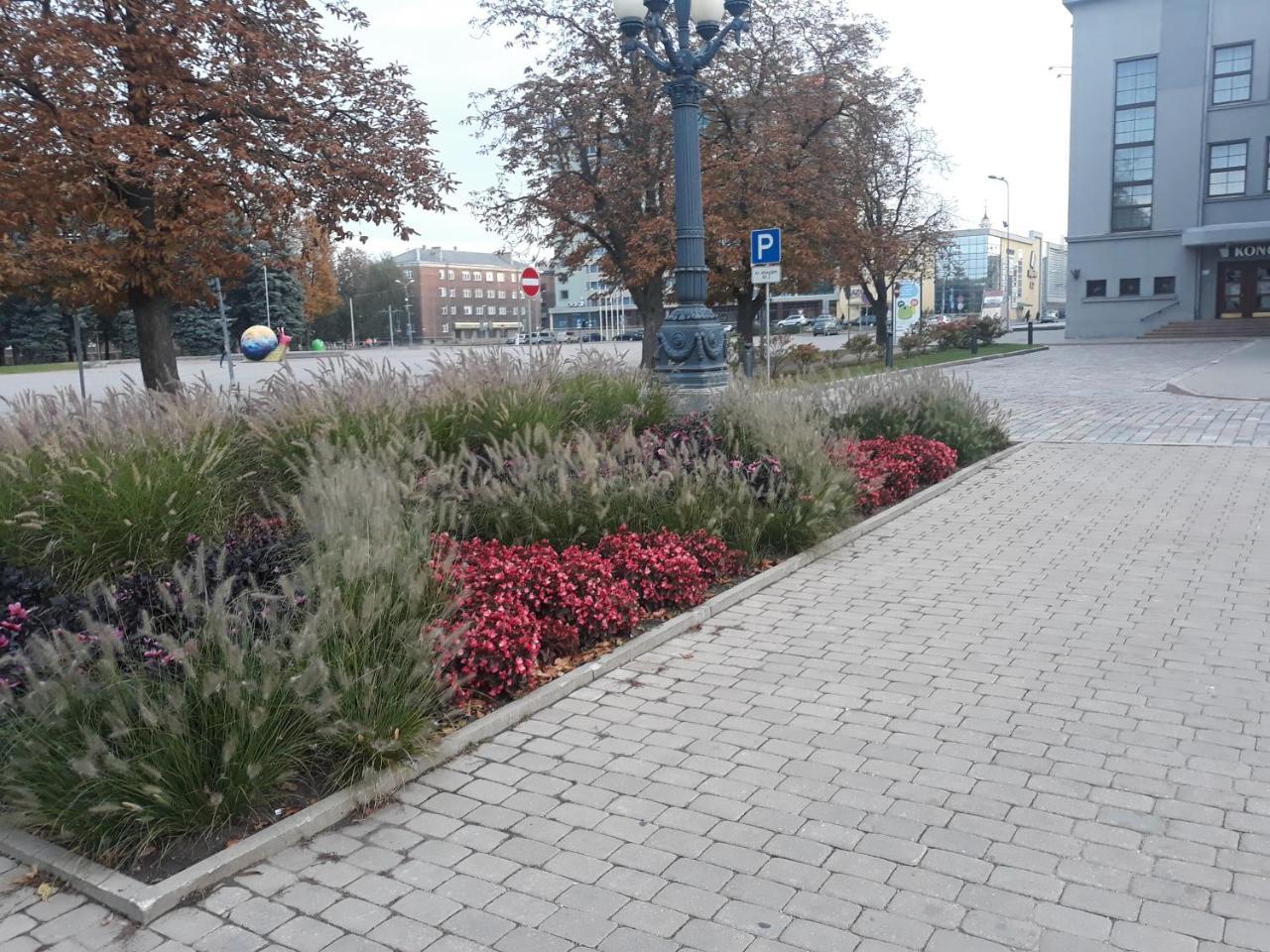 Town Center Studio Apartment Daugavpils Eksteriør bilde